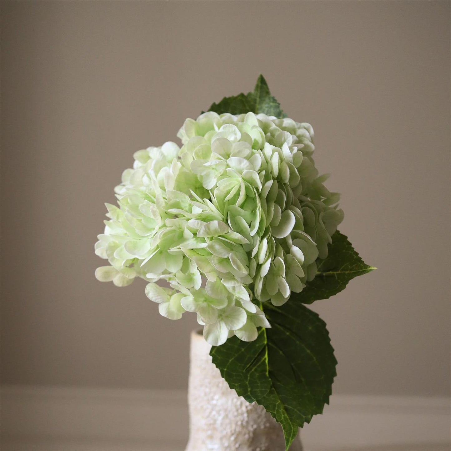 Light Green hydrangea flower