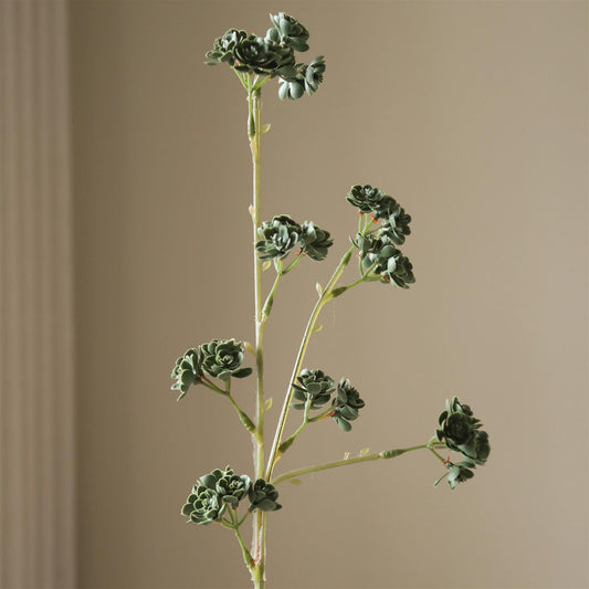 Dark Green Succulent stem