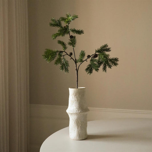 Green pine branch with fir cone