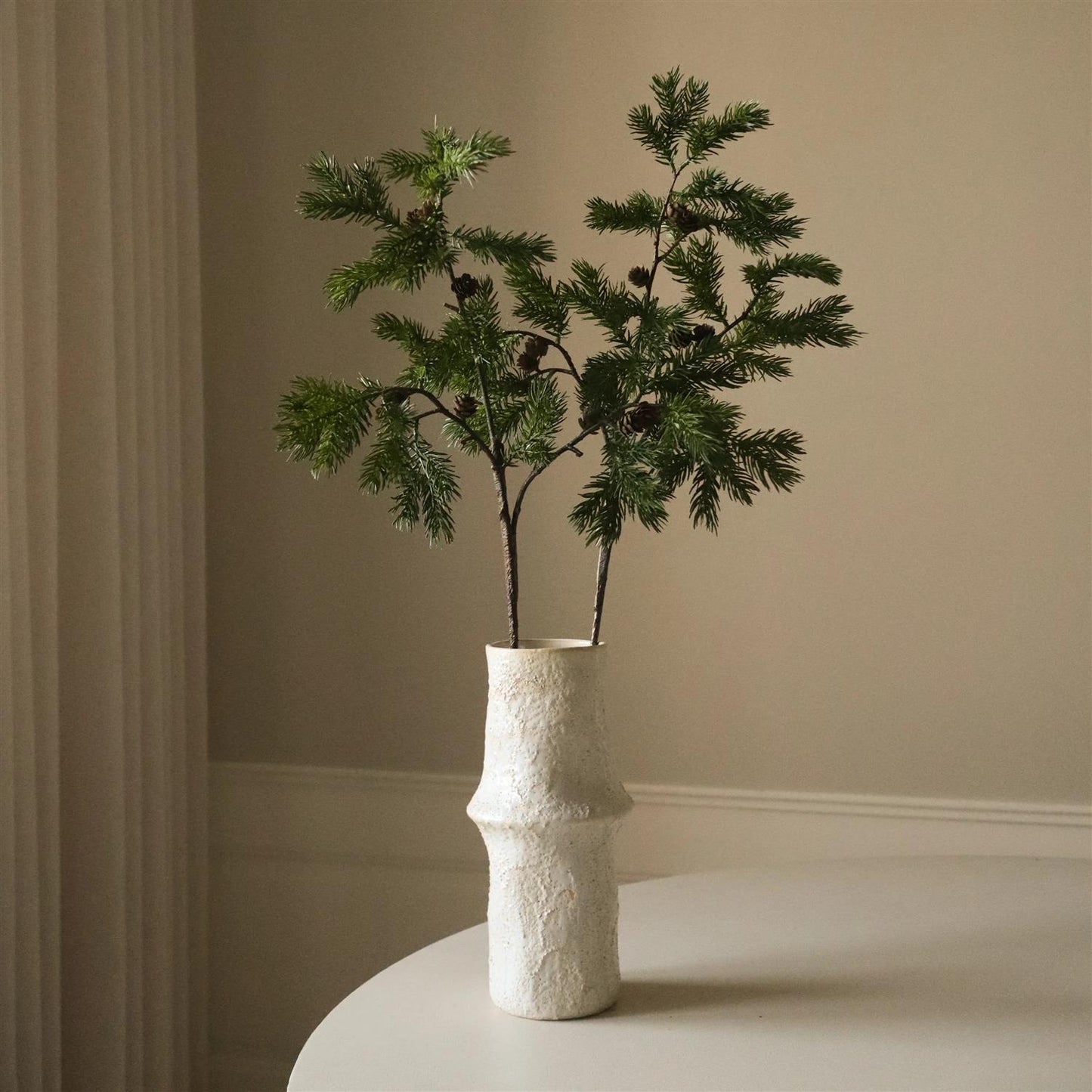 Green pine branch with fir cone