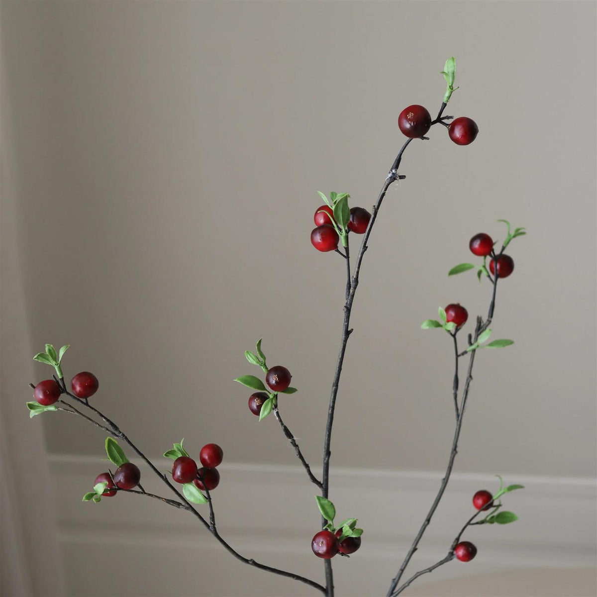 Dark Red Berry Branch