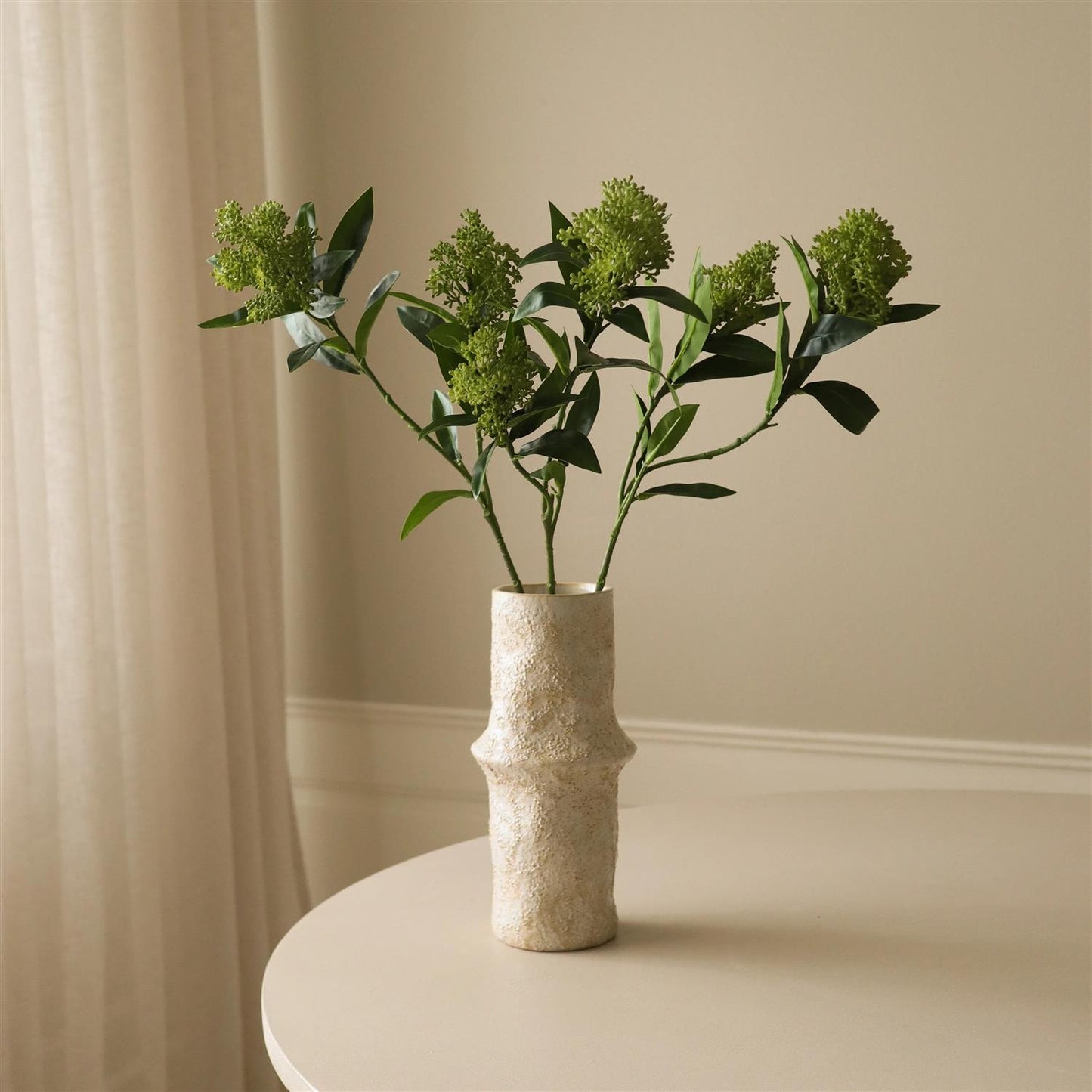 Green skimmia berry branch