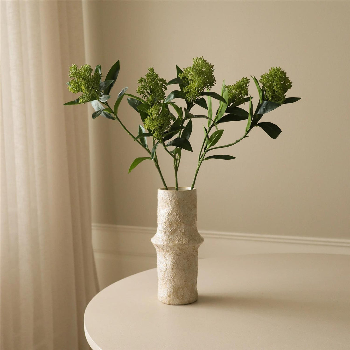 Green skimmia berry branch