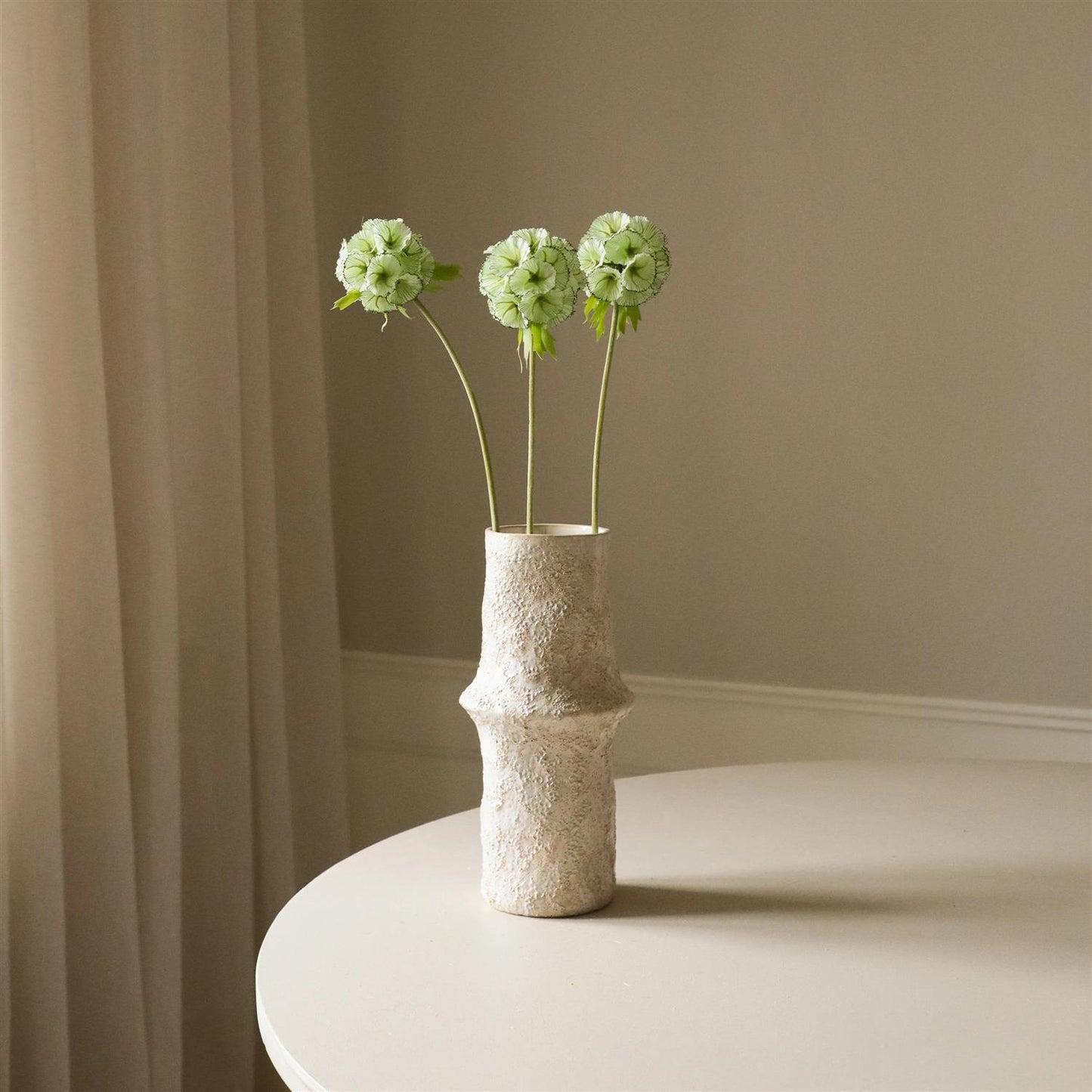 Light Green Scabiosa Seed pod flower