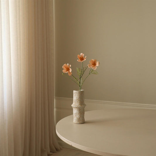 Champagne Cosmo daisy flower