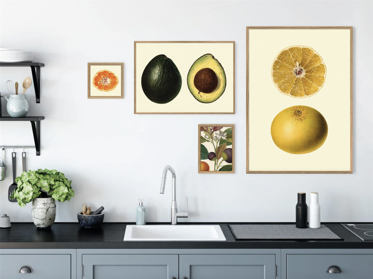 Grapefruit - 70x100 eikeramme