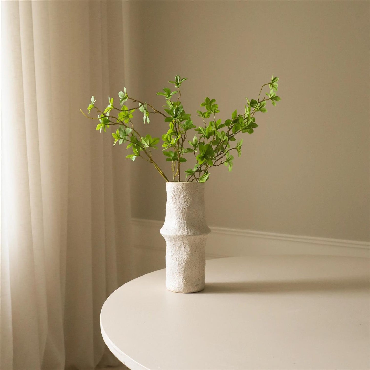 Green Enkianthus Perulatus leaves