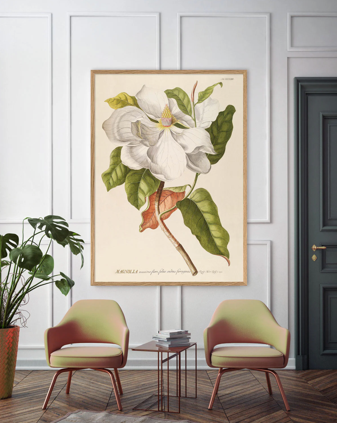 Magnolia