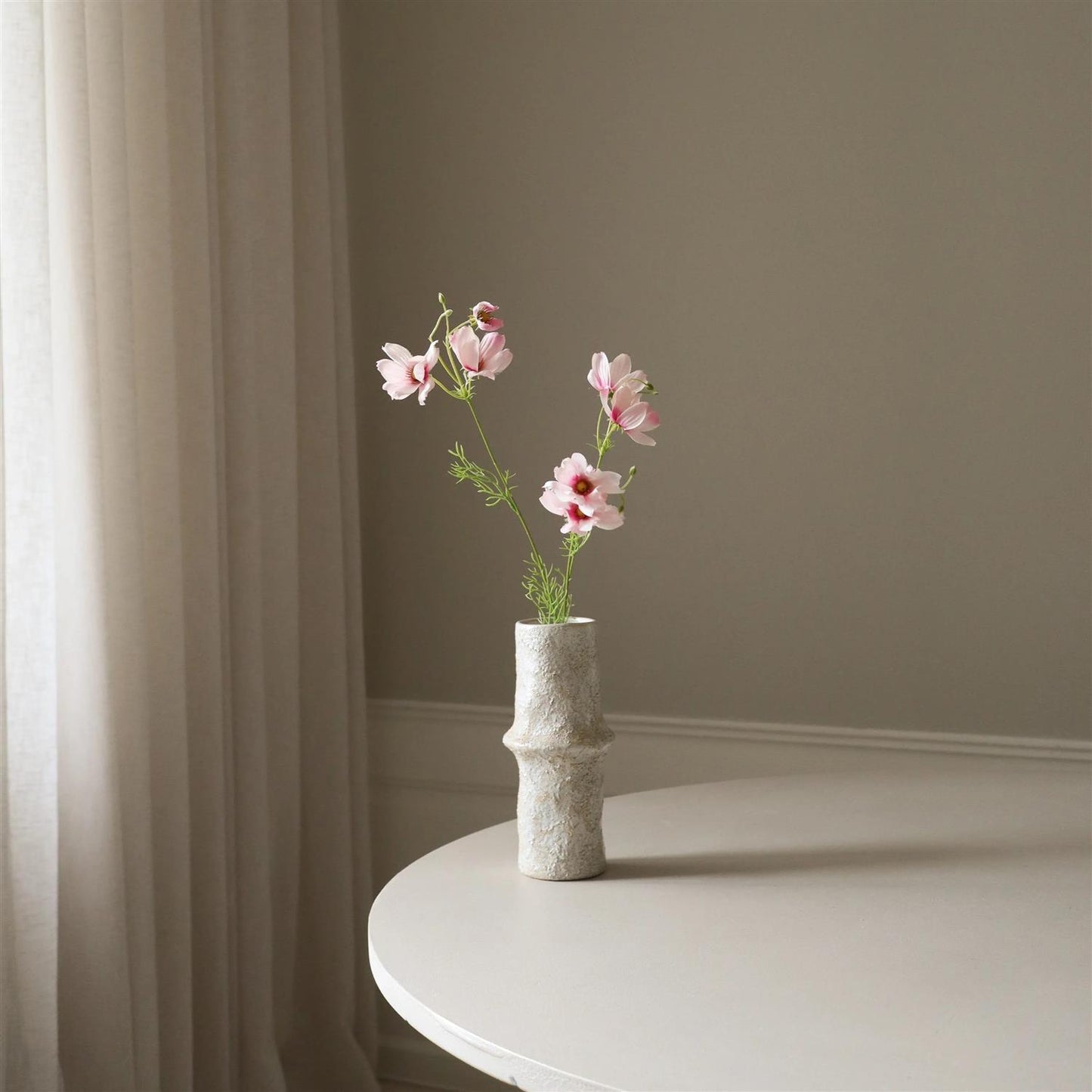 Light pink Large cosmo daisy flower