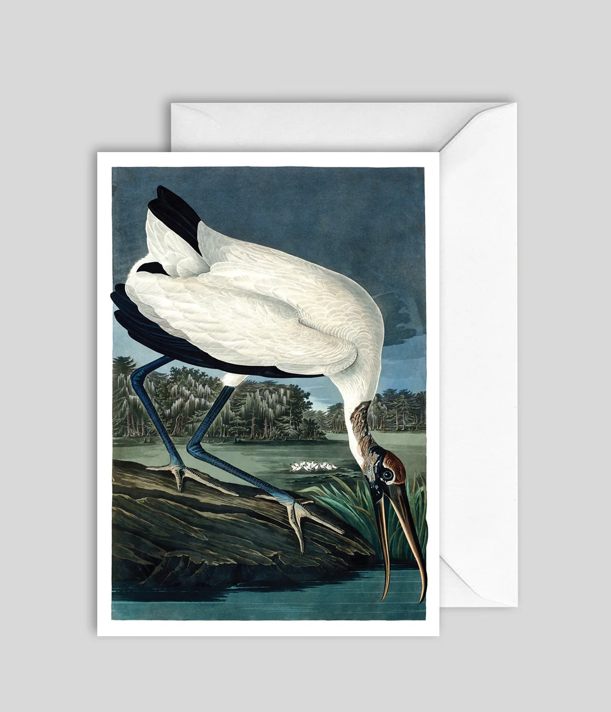 kort - Wood Ibis