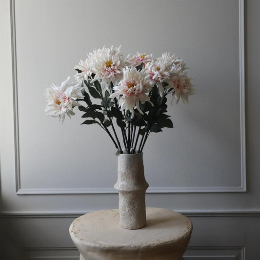 Light pink cactus Dahlia Flower