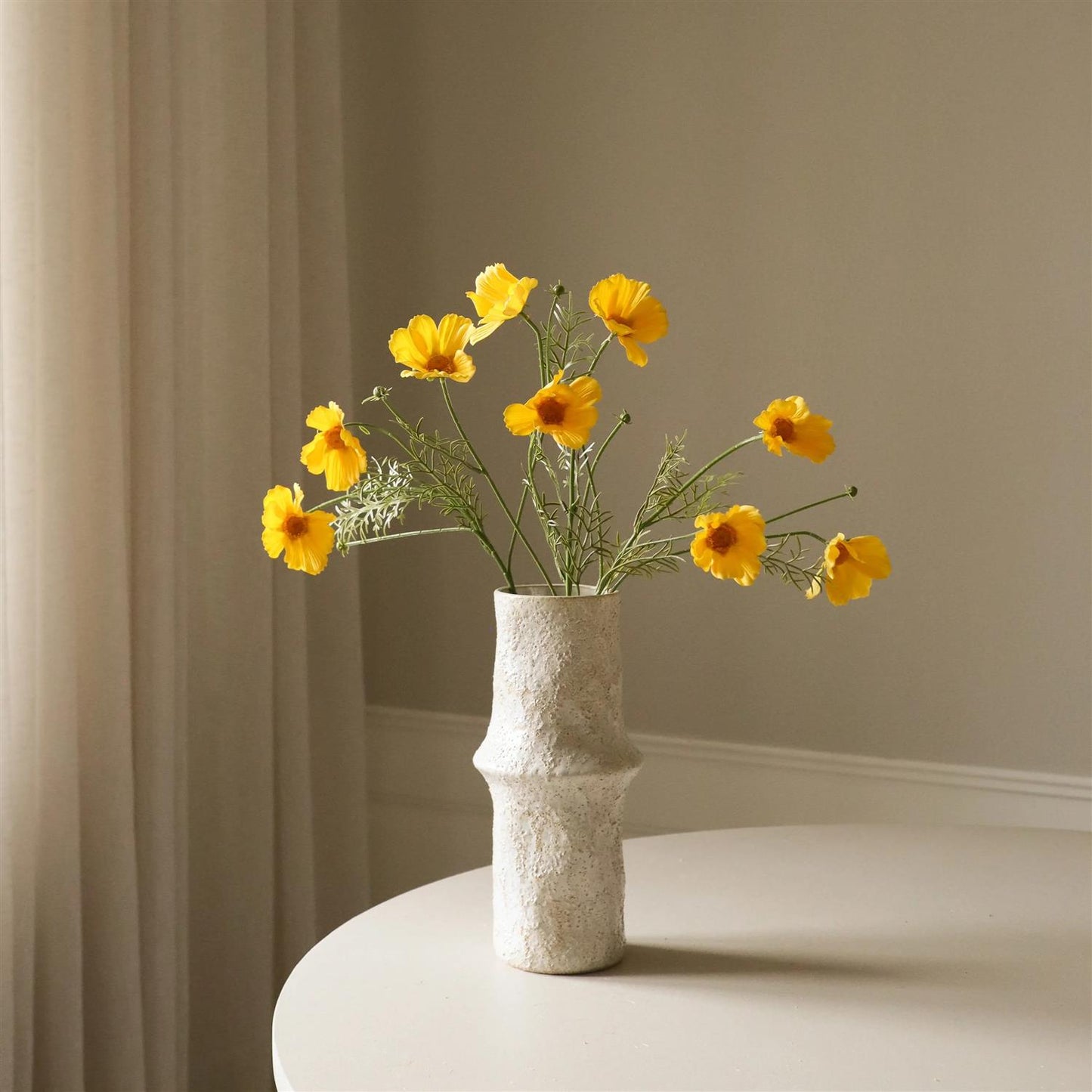 Yellow Cosmo daisy flower