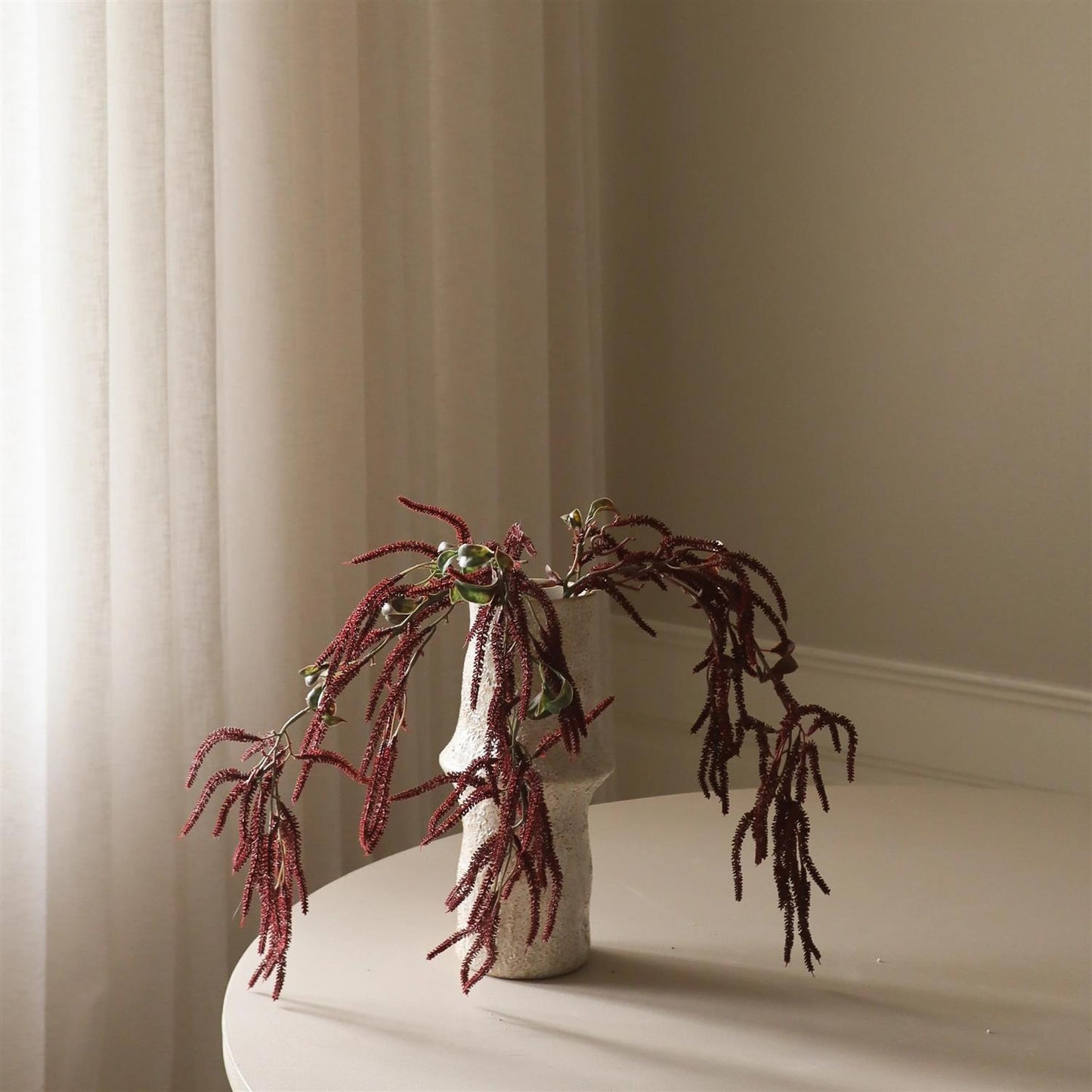 Dark Red Amaranthus Cruenthus