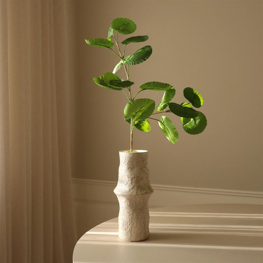 Green plum aralia leaves