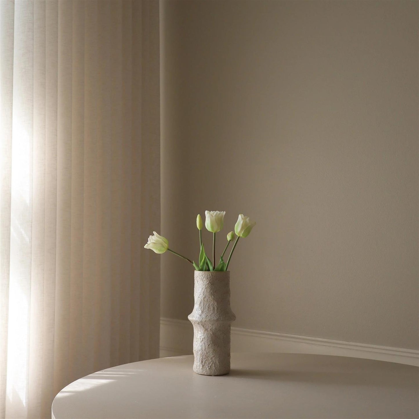 White triumph tulip 5stk