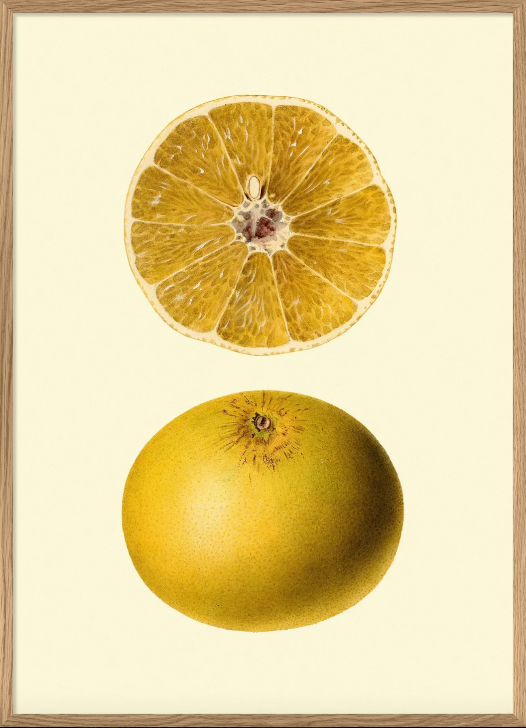 Grapefruit - 70x100 eikeramme