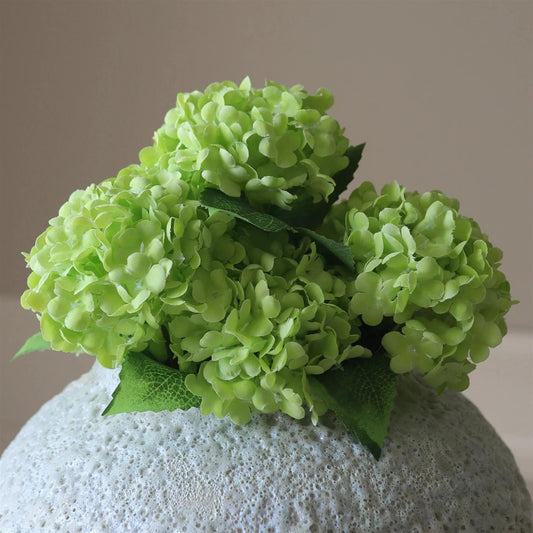 Green mini snowball hydrangea