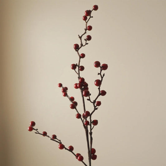 Dark red Winterberry branch