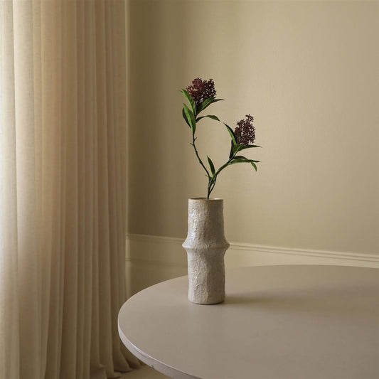 Purple skimmia berry branch