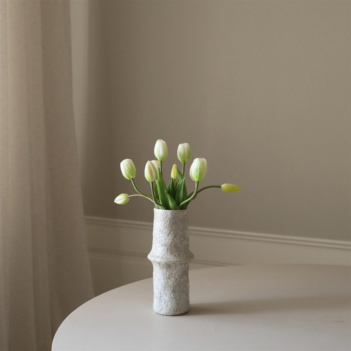 White tulip 5stk