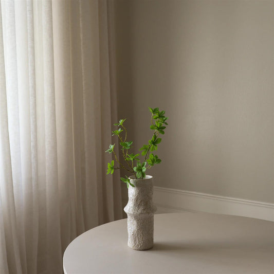 Green Enkianthus Perulatus leaves