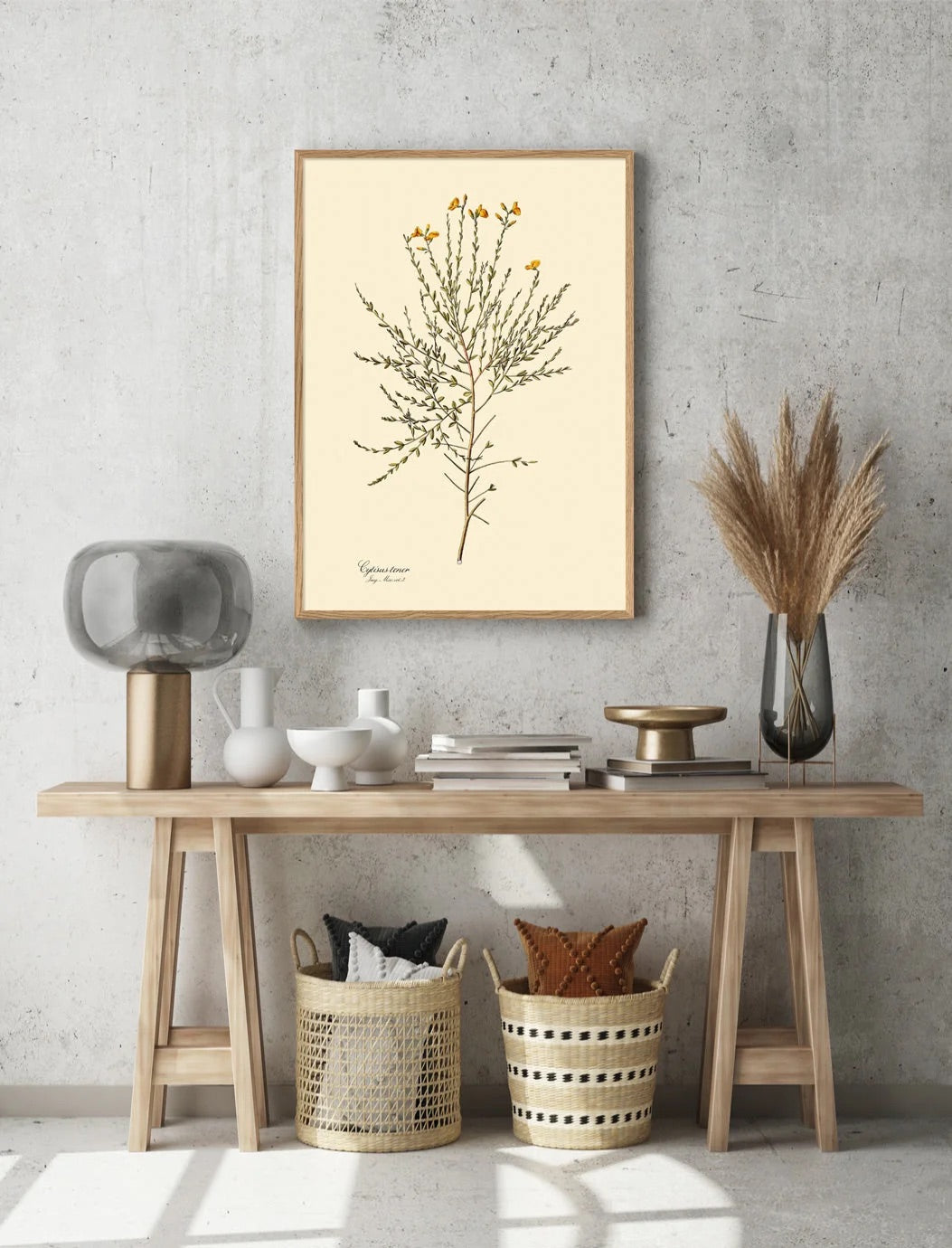 Cytisus Tener 30x40, eikeramme