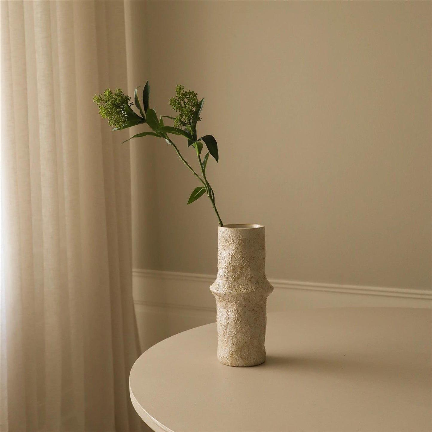 Green skimmia berry branch