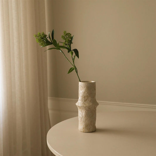 Green skimmia berry branch