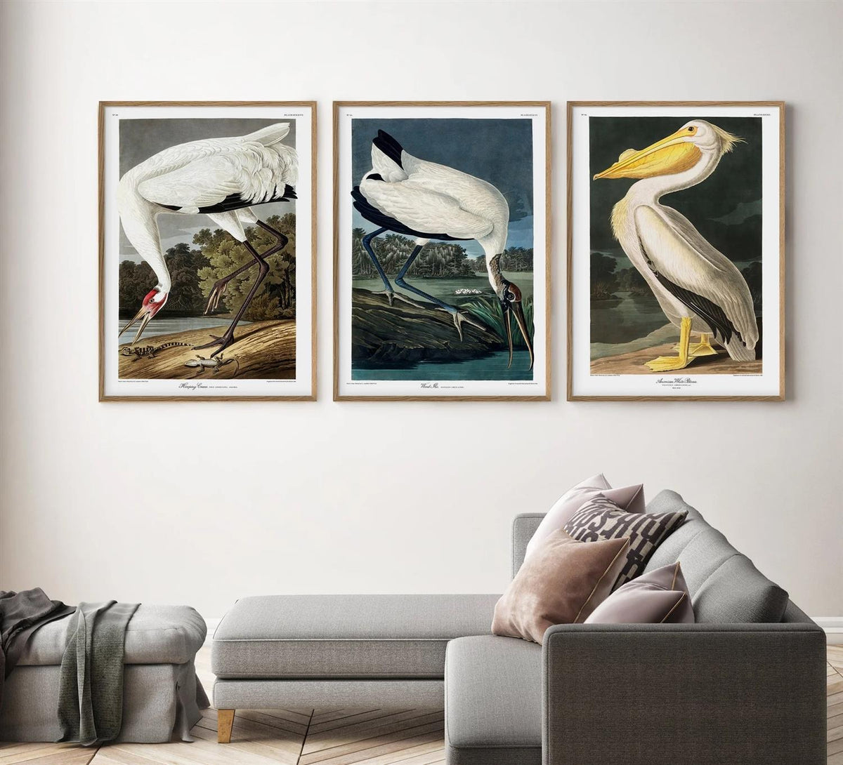 Wood Ibis - 50x70 eikeramme