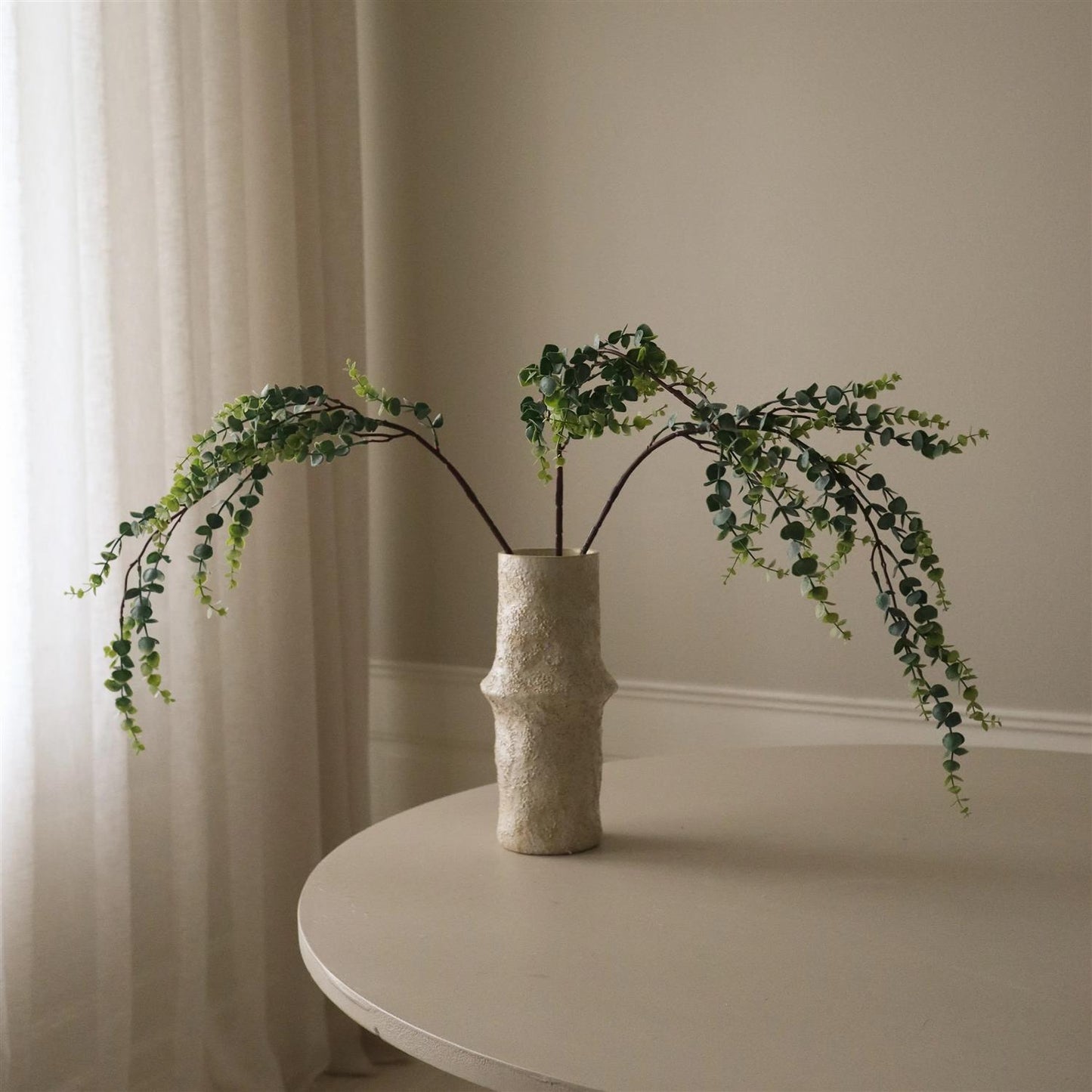 Parvifolia "Gunni" Eucalyptus stem