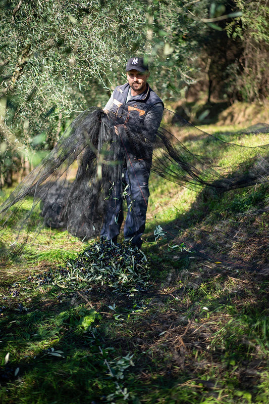 Ekstaordinær Økologisk Ekstra Jomfruolivenolje 500ml