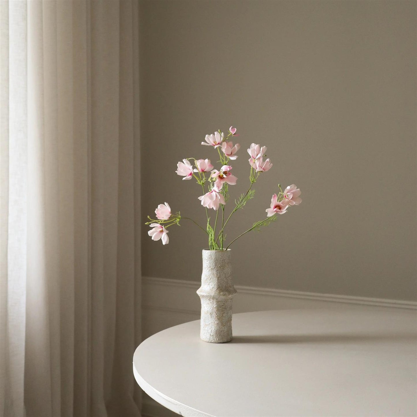 Light pink Large cosmo daisy flower
