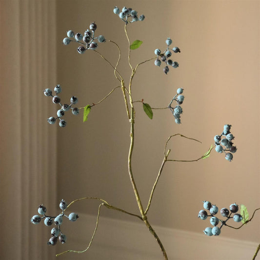 Blueberry branch
