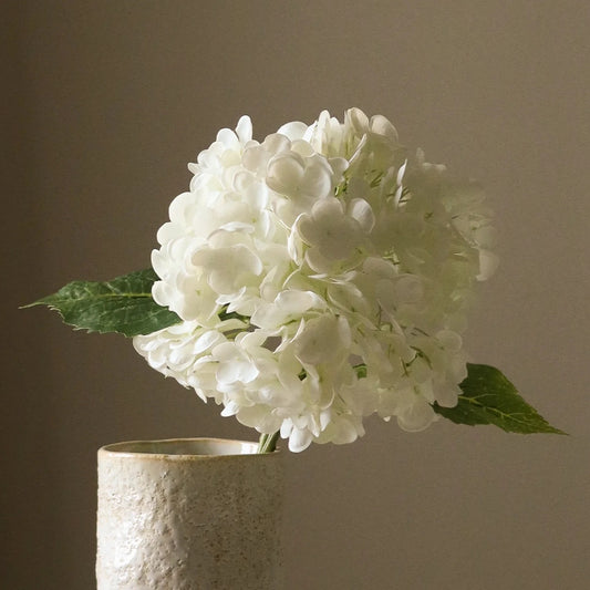 White hydrangea flower