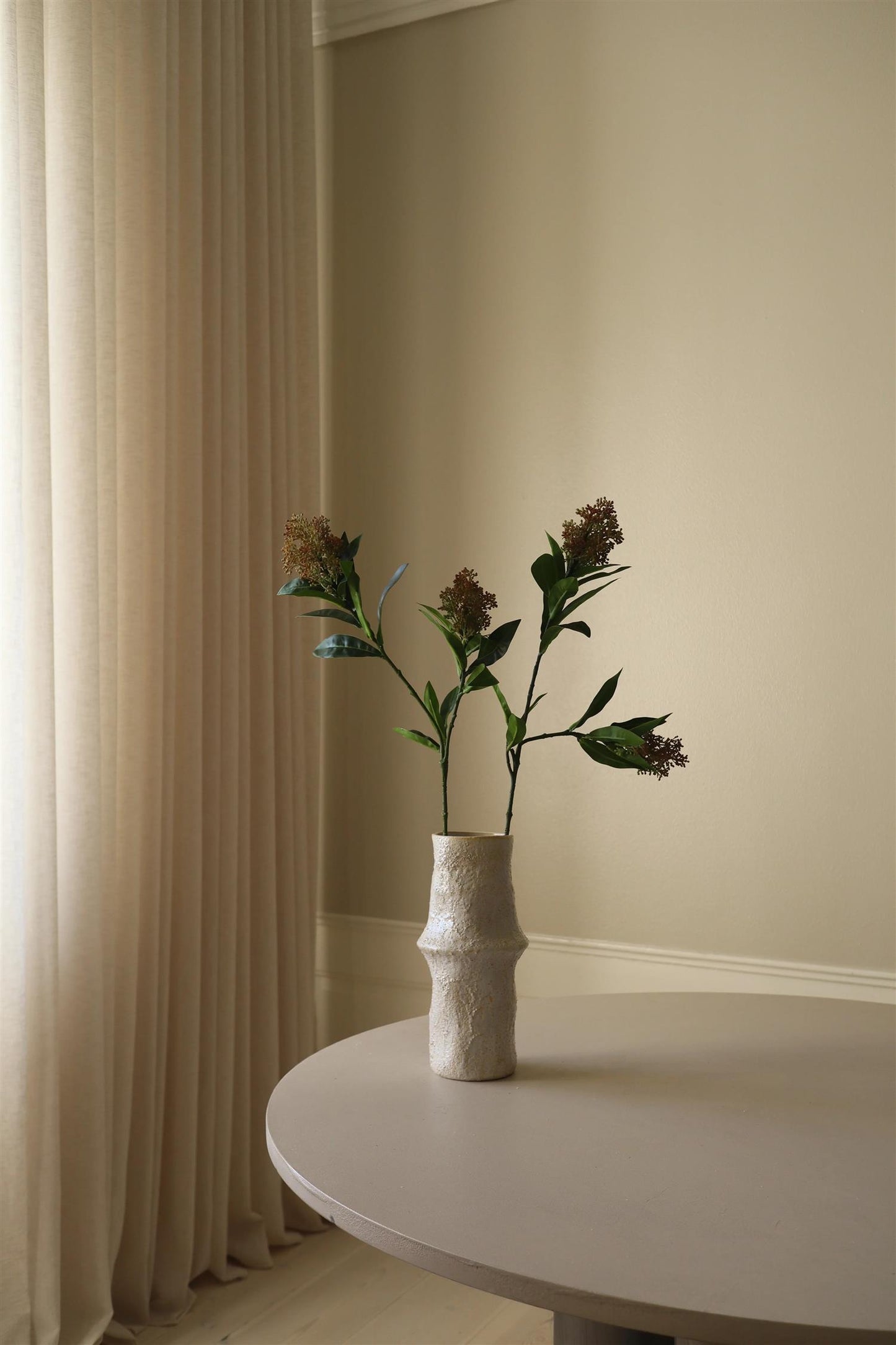 Rose skimmia berry branch