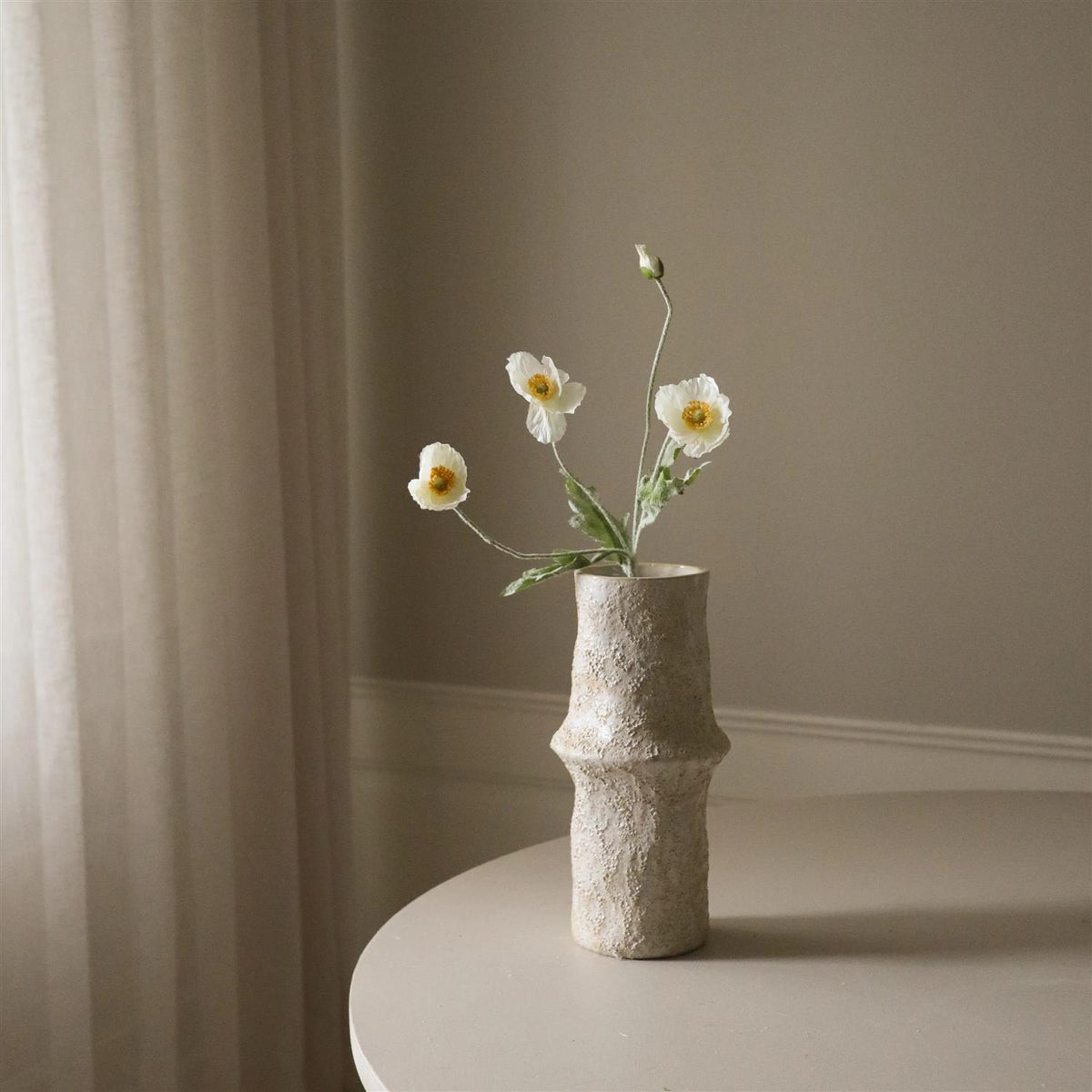 White Poppy flower