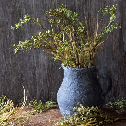 Meadow buck grass
