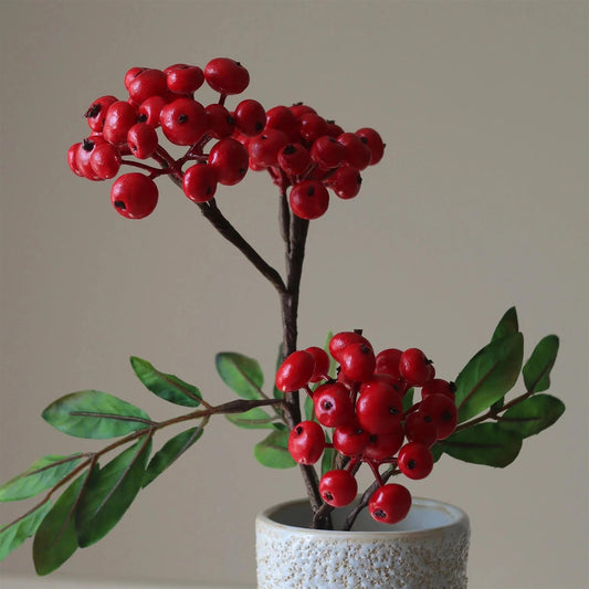 Red Firethorn Branch