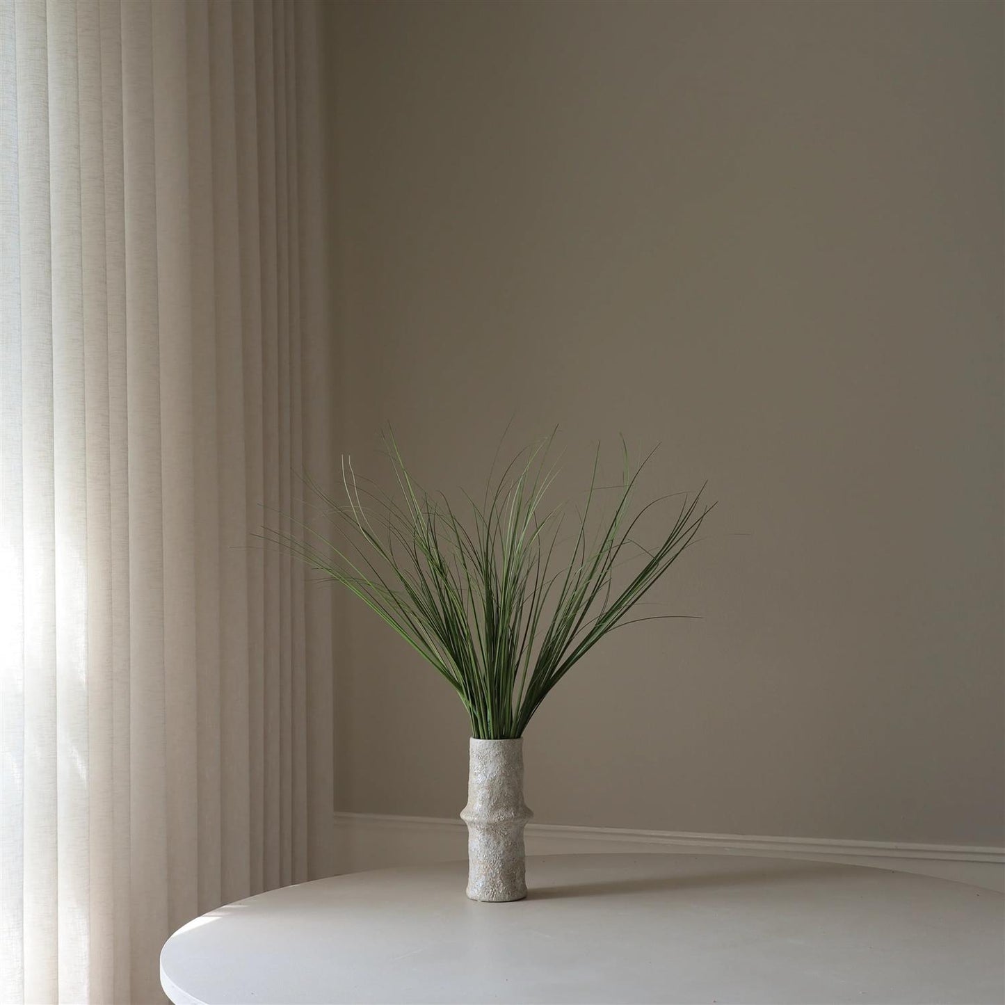 Green Ornamental grass