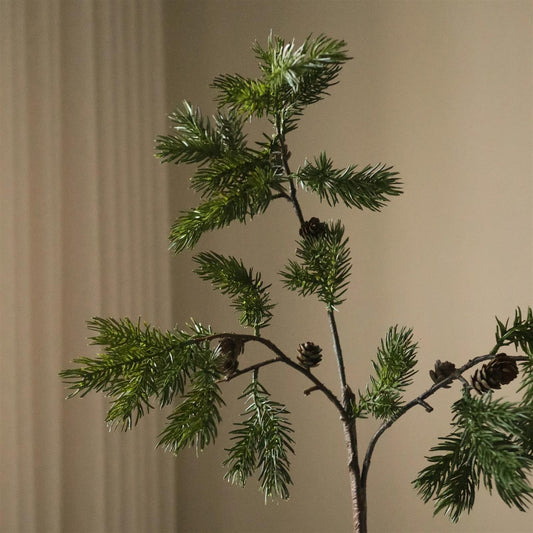Green pine branch with fir cone