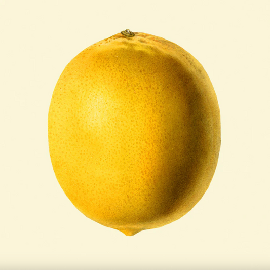 Lemon Closed, eikeramme