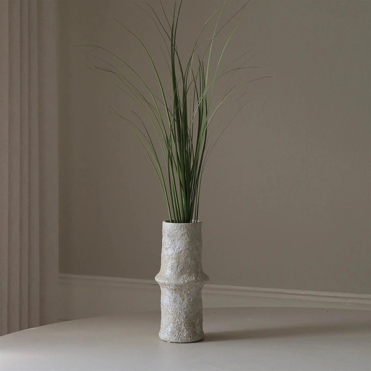 Green Ornamental grass