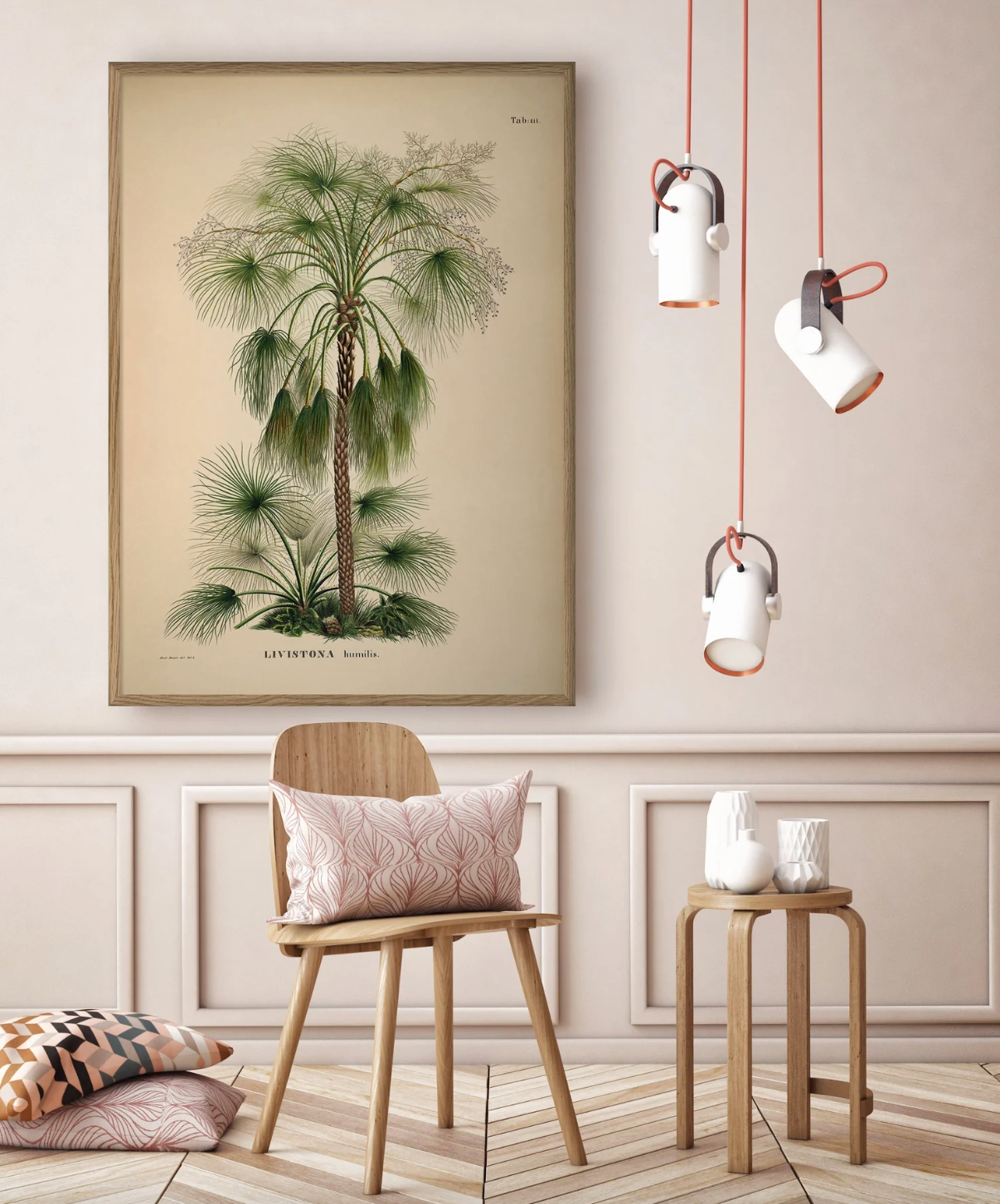 Livistona Humilis - 50x70 eikeramme