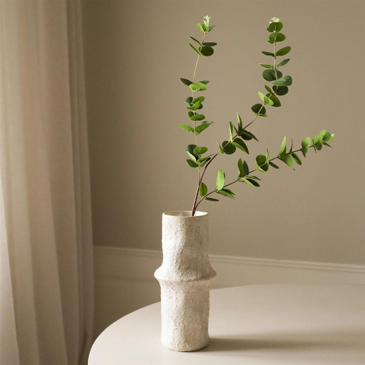 Green Eucalyptus Three leaves