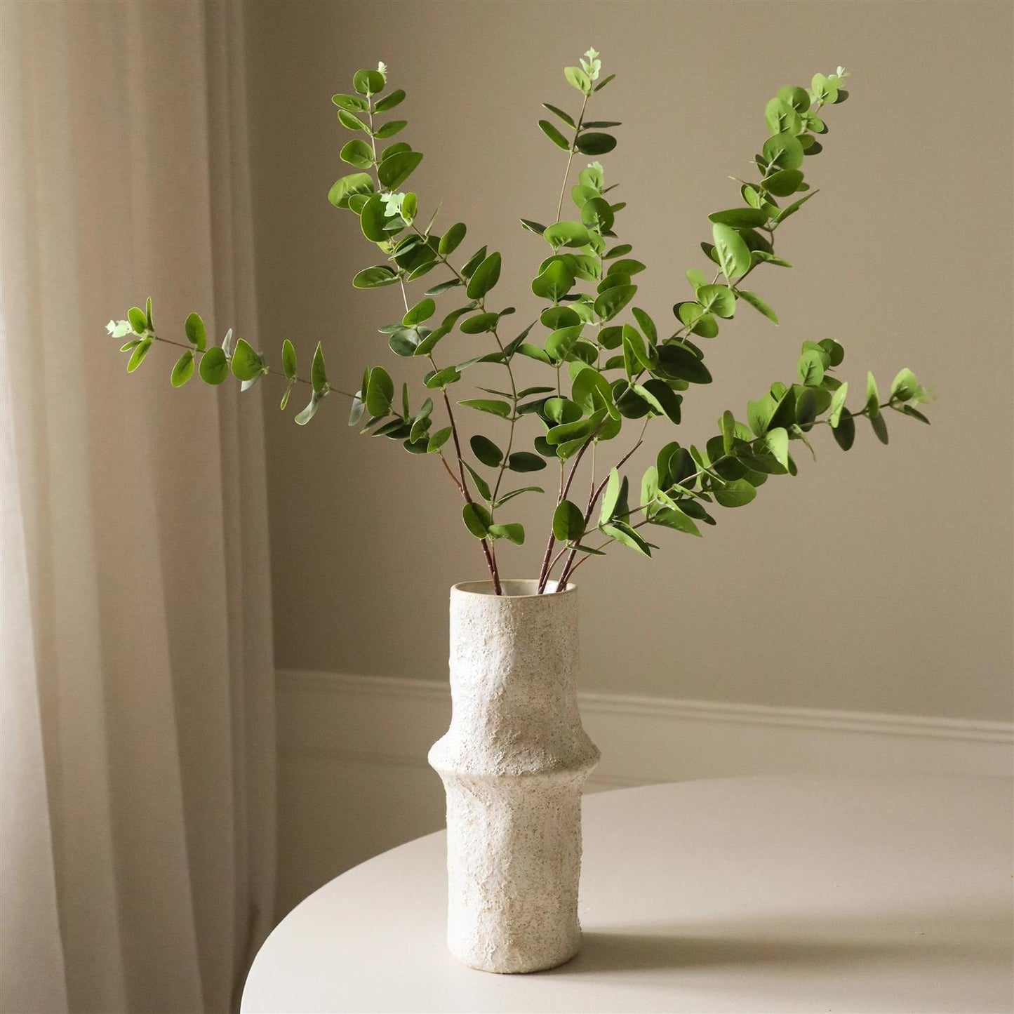 Green Eucalyptus Three leaves