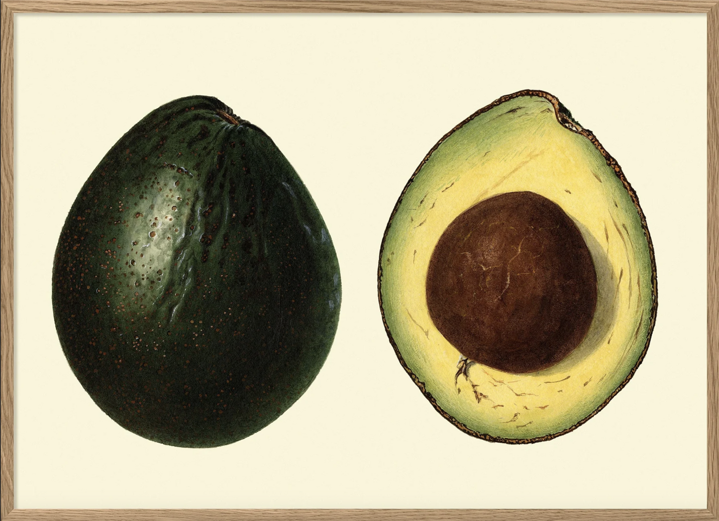 Avocado 30x40, eikeramme