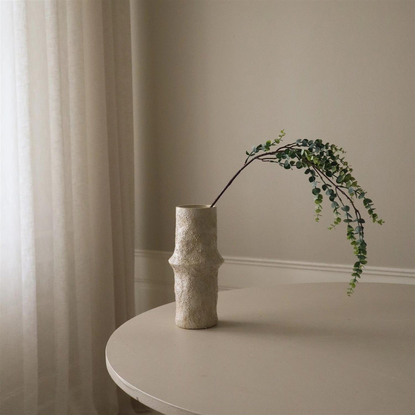 Parvifolia "Gunni" Eucalyptus stem
