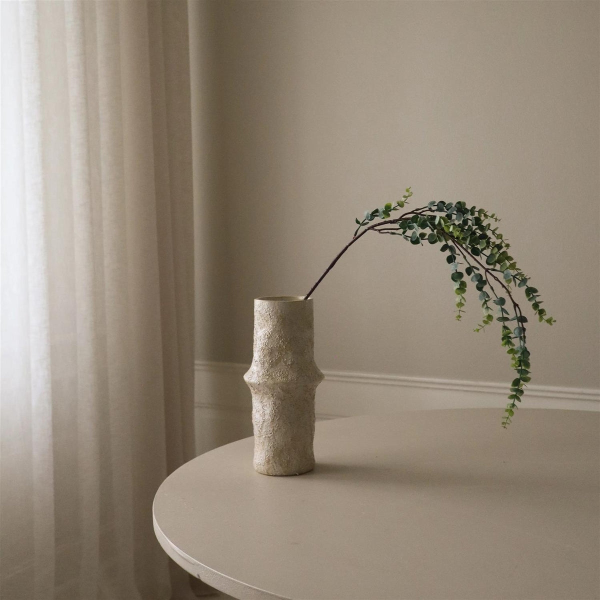 Parvifolia "Gunni" Eucalyptus stem