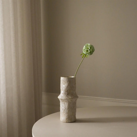 Light Green Scabiosa Seed pod flower