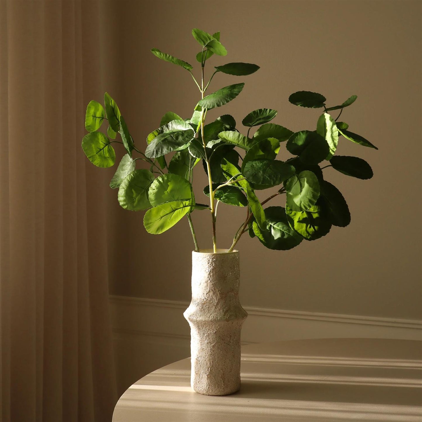 Green plum aralia leaves
